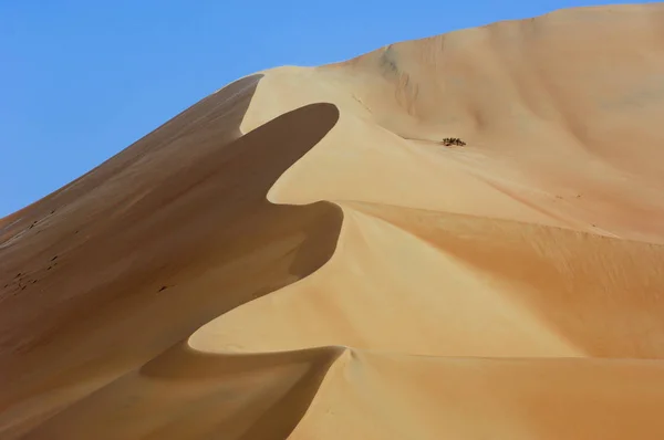 Zandduinen van de Rub Al Khali woestijn — Stockfoto