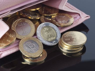 Çantanızda, Suudi Arabistan Riyali paralar ile aç