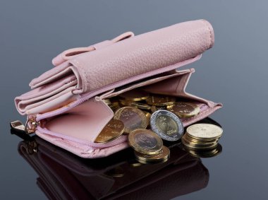 Çantanızda, Suudi Arabistan Riyali paralar ile aç