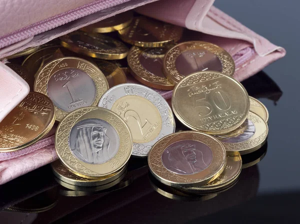 Purse, Open with Saudi Riyal Coins