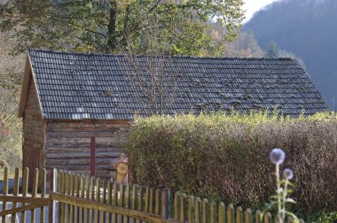 Orman ağaçları, Ojcow, Polonya, 10.29.2005 ile evde