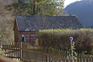 Orman ağaçları, Ojcow, Polonya, 10.29.2005 ile evde