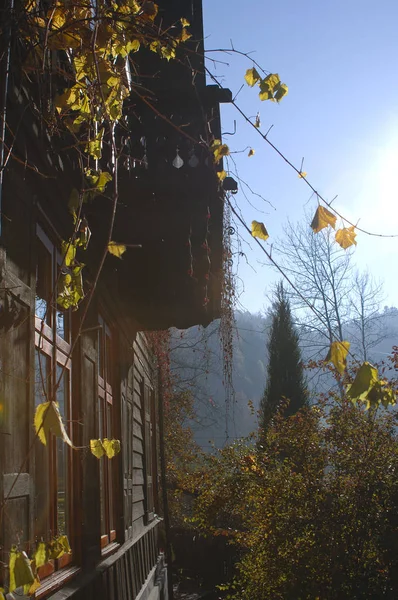 Huis In het bos met bomen met gouden droge bladeren — Stockfoto