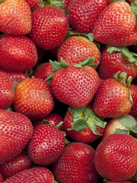 Gruppe af Friske Stawberries Baggrund med blade - Stock-foto