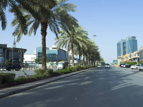 Riyad Tahlia Caddesi üzerinde trafik ışık,