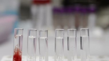 Laboratuvarda analiz ya da araştırma yapan bilim adamları