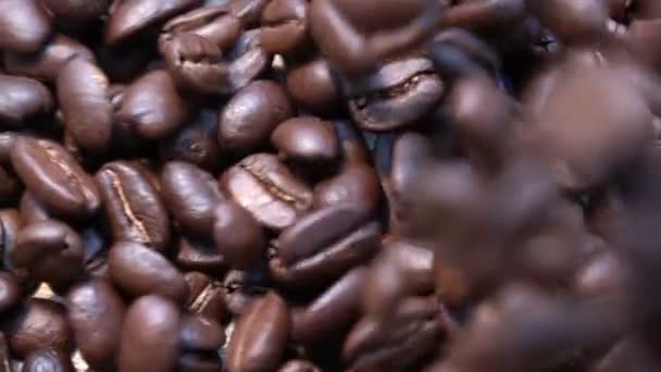 Кофейные Зерна Замедленной Съемке — стоковое видео