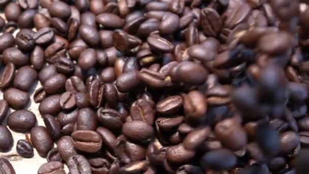 Coffee Beans Slow Motion — Stock Video