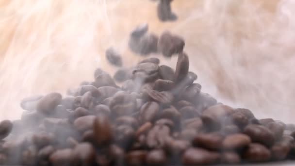 Kahve Çekirdekleri Yavaş Hareket — Stok video