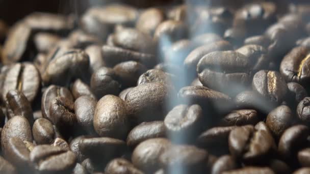 Coffee Beans Slow Motion — Stock Video