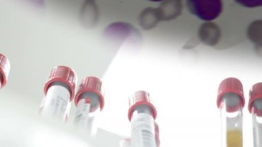 Laboratuvarda analiz ya da araştırma yapan bilim adamları