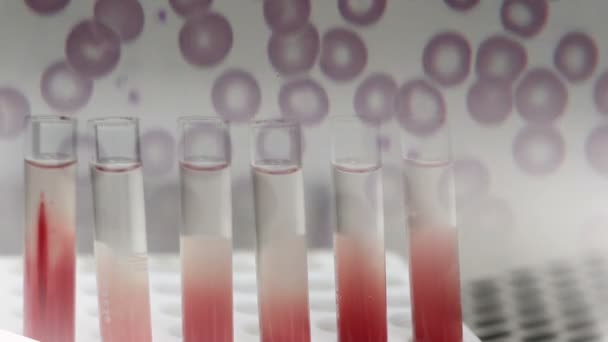 Pruebas Científicas Laboratorio Para Análisis Investigación — Vídeo de stock