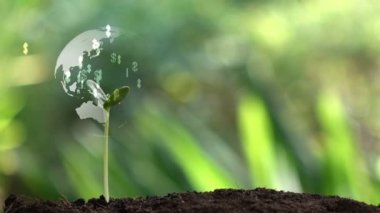 Dolar para ağacı ve dünya ağaç etrafında hologramda dönüyor, başarı finansal iş fikri..