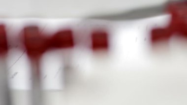 Laboratuvarda analiz ya da araştırma yapan bilim adamları