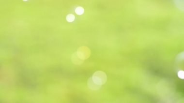 Doğal arkaplanda renkli hava kabarcığı