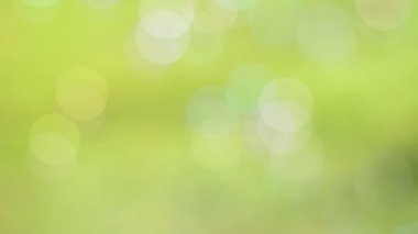 Doğal arkaplanda renkli hava kabarcığı