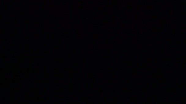 cellules sanguines humaines au microscope