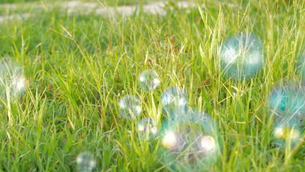 自然を背景にカラフルな空気の泡 — ストック動画
