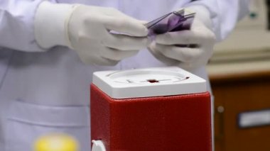 Laboratuvarda analiz ya da araştırma yapan bilim adamları