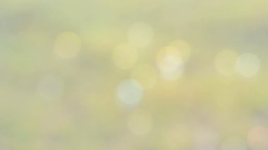 Doğal arkaplanda renkli hava kabarcığı