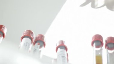 Laboratuvarda analiz ya da araştırma yapan bilim adamları.