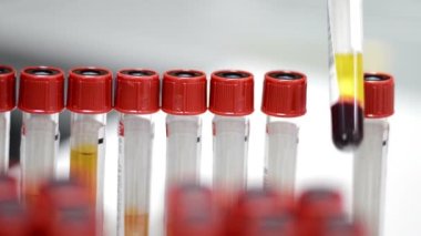 Laboratuvarda analiz ya da araştırma yapan bilim adamları.