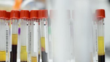 Laboratuvarda analiz ya da araştırma yapan bilim adamları.