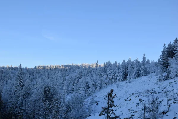 doğa kar Rusya Ural