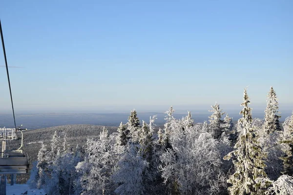 Nature Neige Russie Oural — Photo