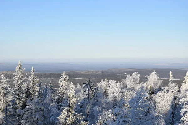 nature snow Russia Ural