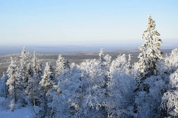 doğa kar Rusya Ural