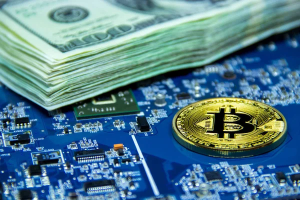 Küçük bir madenci bitcoin grafik kartı dolar için kazıyor. Bitcoin incelemesi kavramı. Altın Bitcoin dolar ile mavi mikroçip gemide