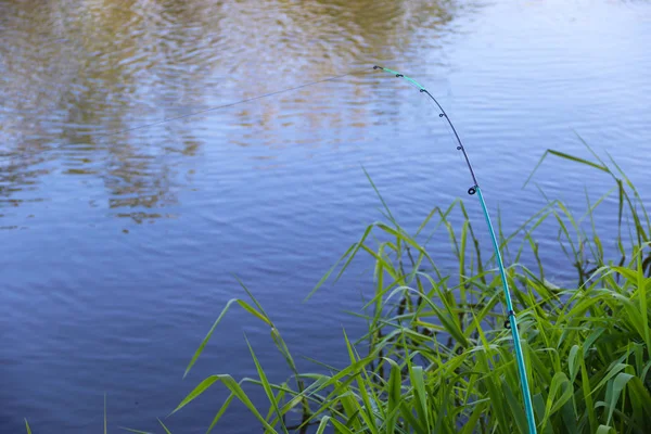 Feeder fishing on a river, a bow of a big fish — Stock Photo, Image