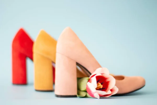 Zapatos femeninos con flor sobre fondo claro — Foto de Stock
