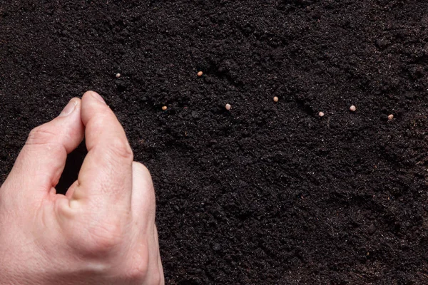 Boerenhand Planten Van Een Zaadje Bodem Eco Boerderij Concept — Stockfoto