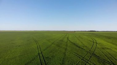 Büyüyen Kırsal Arazi Üzerinde Hava, Uçuş