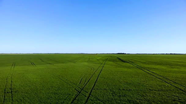 Aérien, Vol Au-dessus Du Paysage Rural De Campagne Avec La Croissance — Video