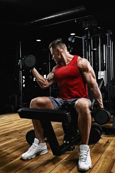 Joven atleta deportivo modelo de fitness en el gimnasio sacude sus bíceps con mancuernas. Motivación deportiva, bajo perfil, alto contraste. El concepto de un estilo de vida saludable, movimiento de la vida, espacio de copia . —  Fotos de Stock