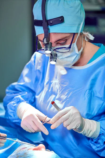 Close up portrait of female surgeon doctor wearing protective mask and hat during the operation. Healthcare, medical education, surgery concept. — Stock Photo, Image