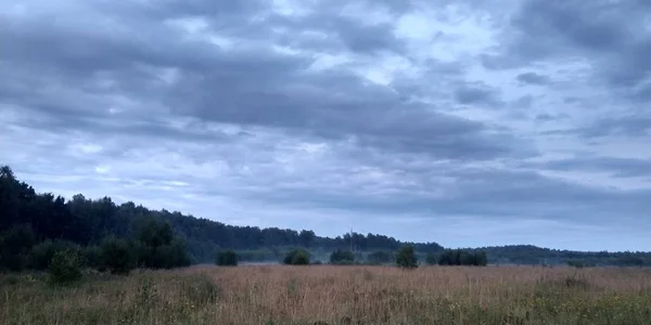 Fondo de patrón de naturaleza. Hermoso paisaje. Puesta de sol en el bosque. Niebla sobre la hierba seca. Clima nublado. El cielo sin el sol. Colores azules — Foto de Stock