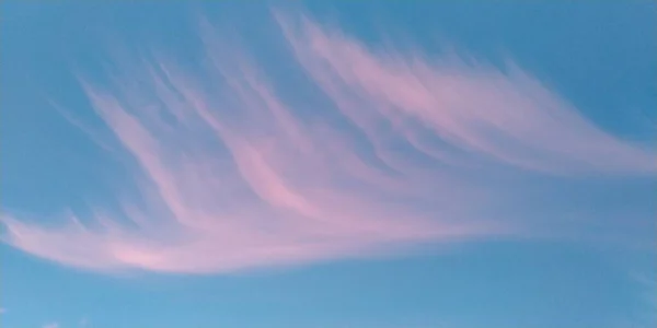 Rosa Och Vitt Moln Som Vinge Den Blå Himlen Solnedgång — Stockfoto