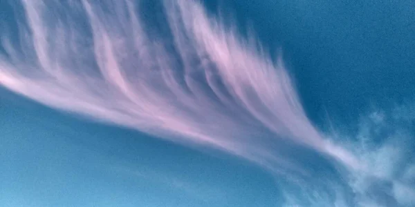 Rosa Und Weiße Wolken Wie Ein Flügel Blauen Himmel Abendhimmel — Stockfoto