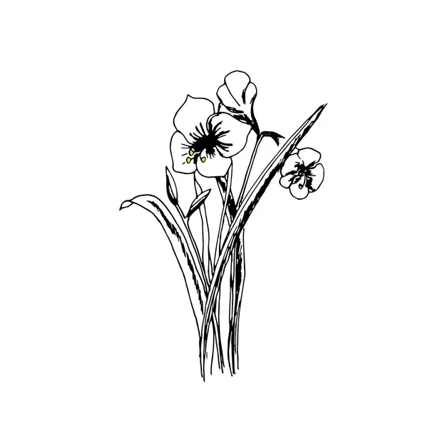 Monochromatyczny Bukiet Dzikich Kwiatów Ilustracja Wektora Stylu Bazgrołów Element Artystyczny — Wektor stockowy
