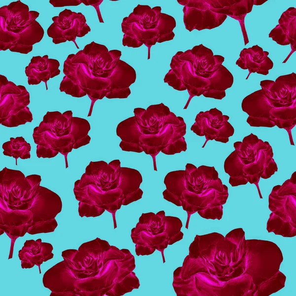 Rosas Rosadas Sobre Fondo Azul Ilustración Hecha Mano Patrón Sin — Foto de Stock