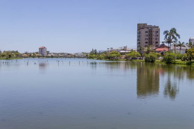 Kaplumbağalar Torres Violao Gölü