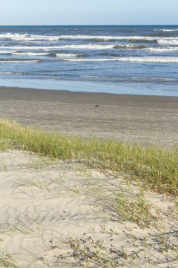 Bitki örtüsü üzerinde kumullar ve dalgalar ve Torres Plajı'nda mavi gökyüzü