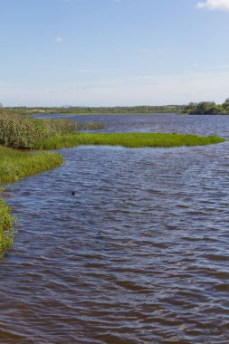 Santa Catarina ve Rio Grande arasındaki Mampituba nehir sınırı 
