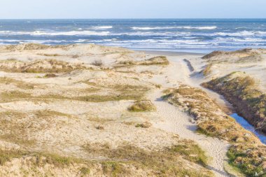 Praia grande beach dunes adlı Torres plaj üzerinde bitki örtüsü ile