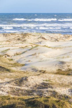 Praia grande beach dunes adlı Torres plaj üzerinde bitki örtüsü ile