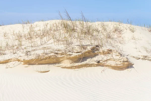 Vegetation over dunes  at Torres beach — Stock Photo, Image